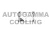 AUTOGAMMA 100906 Radiator, engine cooling